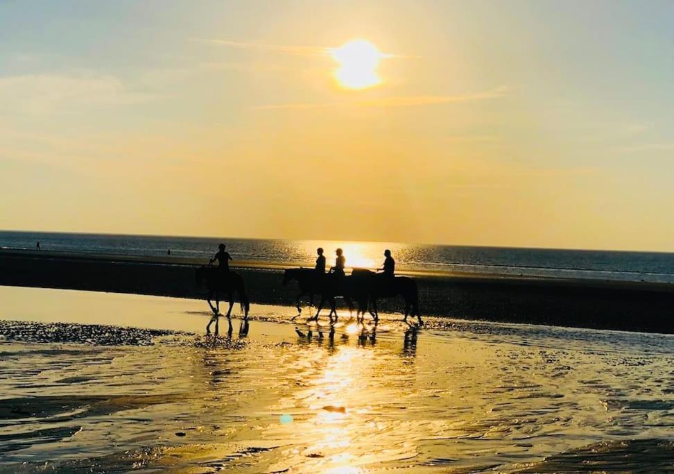 Le Camaieu Deauville Exteriör bild